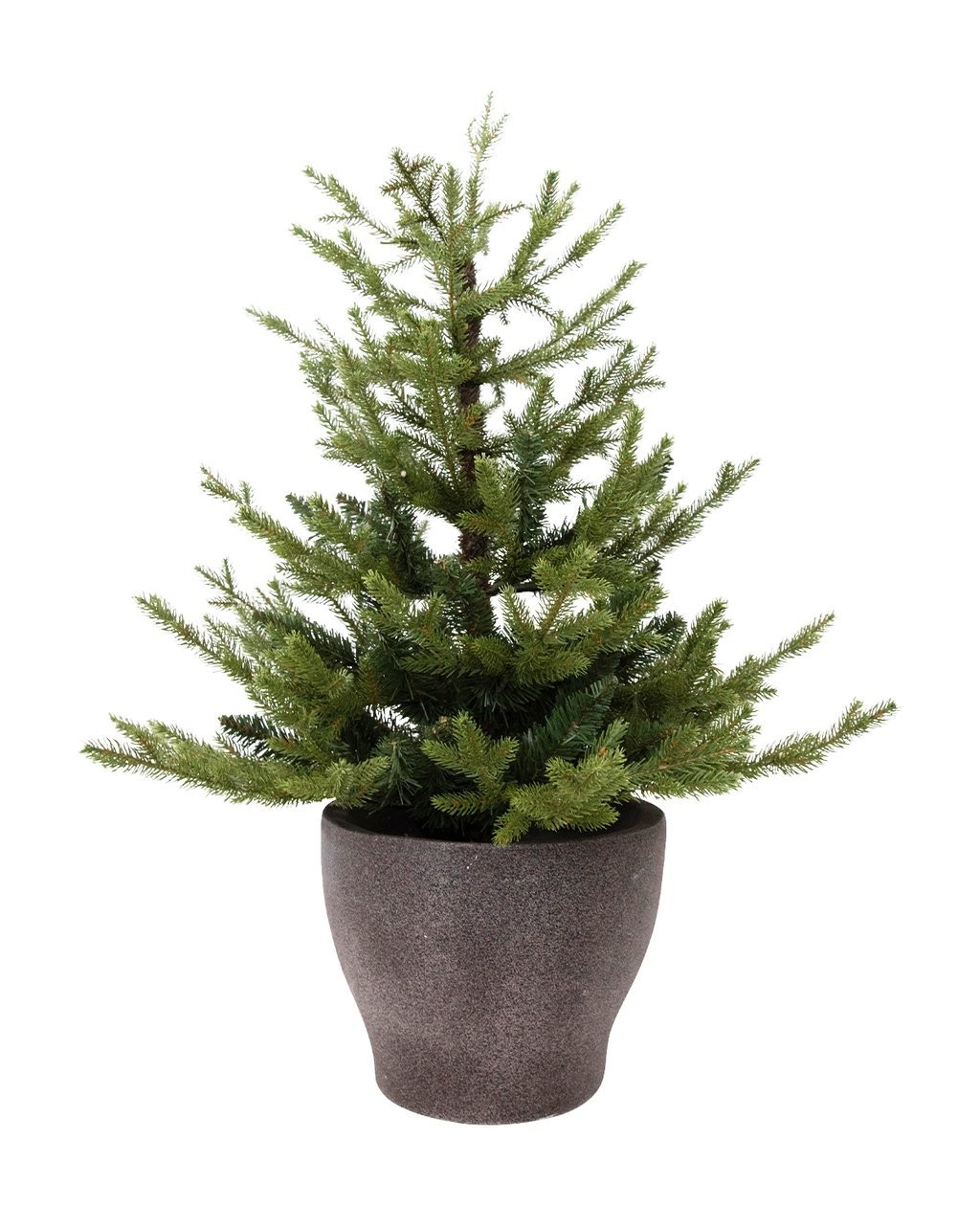 Norway Potted 3' Faux Tree | McGee & Co.