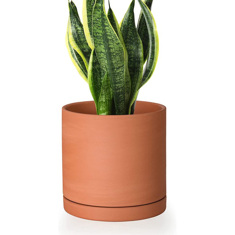 Elegant Minimalist 6 Inch Terracotta Cylinder Planter Pot with Drainage Hole & Saucer, Handcrafte... | Walmart (US)