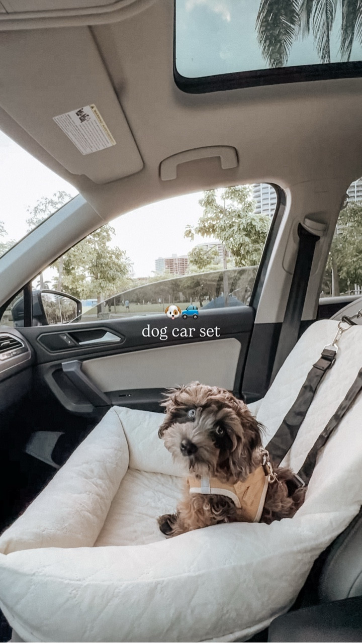 Safety furst! Grab this dog find favorite while it’s on sale! 🐾 

Clay may have outgrown it now but it still remains one of my fav cozy pet finds 🤎 He LOVED it. *please install it in the backseat for safety.*

 I’ll link the dog hammock we use now too! 


#dogslife #dogmom

#LTKCyberWeek #LTKSaleAlert
