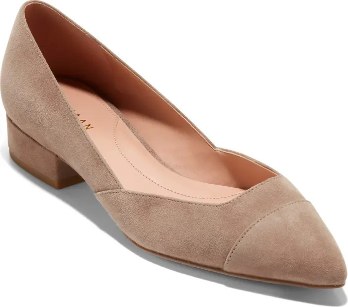 Vanessa Pointed Toe Skimmer (Women) | Nordstrom
