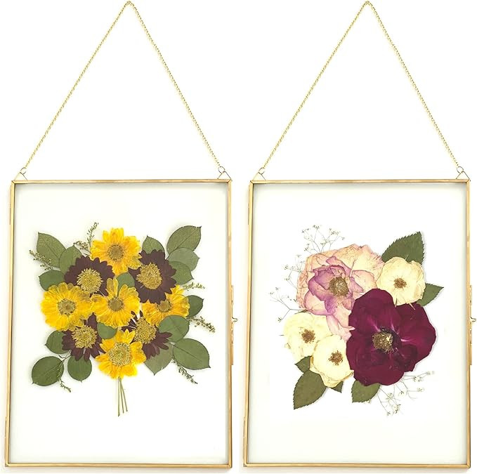 Double Glass Frame for Pressed Flowers, Leaf and Artwork - Set of 2 Hanging Picture Frames, Tempe... | Amazon (US)