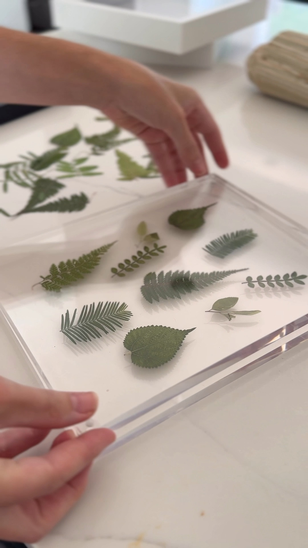 Easy DIY Art Idea! I ordered these pressed botanicals from Amazon and paired them with some of my favorite frames. For the matted frame, I wanted the botanical to pop so I layered it on top of some leftover grasscloth wallpaper that I had from another project. Both frames turned out so pretty and the finished product is a fraction of the cost of what I’ve seen in some home decor shops.

pressed botanicals, botanical wall art, DIY botanical art, framed pressed botanicals, Amazon pressed botanicals, found it on Amazon, Amazon home decor find, botanical wall decor, DIY art project, affordable wall art, easy DIY home decor, budget friendly art idea, botanical frame art, grasscloth wallpaper art, matted botanical print, gallery wall botanicals, custom framed botanicals, nature inspired wall art, DIY framed artwork, Amazon art supplies, botanical print decor, DIY home project, botanical decor Amazon, inexpensive wall art, wall art on a budget, botanical wall prints, botanical picture frame, layering art with wallpaper, grasscloth frame background, Amazon craft find, home decor DIY, botanical gallery wall, organic modern wall art, botanical home accents, timeless botanical prints, DIY budget decor, art idea under $50, botanical frame styling, pressed flower wall art, botanical accent wall, simple DIY art, frame your own art, inexpensive home styling

#LTKHome #LTKStyleTip #LTKFindsUnder50