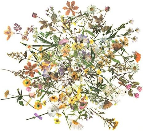 Cute Retro Floral Stickers Set(120 PCS) PET Transparent Flower Stickers for Scrapbooking Planner ... | Amazon (US)