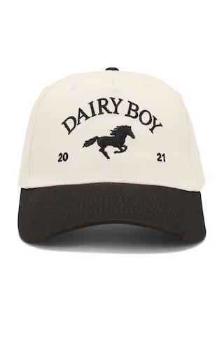 Dairy Boy East Coast Trucker Hat in Black from Revolve.com | Revolve Clothing (Global)