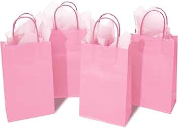 DjinnGlory 24 Pack Small Pink Paper Gift Bags with Handles 9x5.5x3.15 Inch and 24 Tissue Wrapping... | Amazon (US)