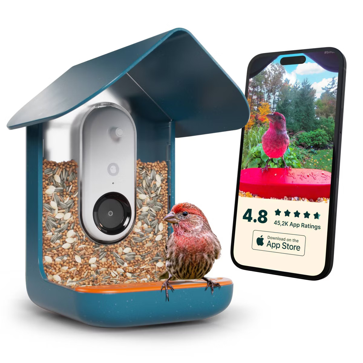 Bird Buddy Outdoor Bird Feeder Kit 9" - Blue | Target