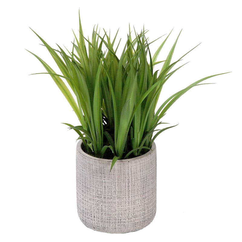 Grass Plant with Grey Planter, 8" | At Home