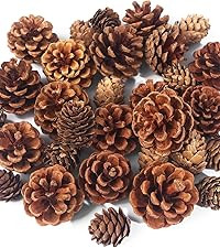 JOHOUSE 30PCS Christmas Pine Cones, Natural Pinecones for Crafts Assortment Rustic Pine Cones for... | Amazon (US)