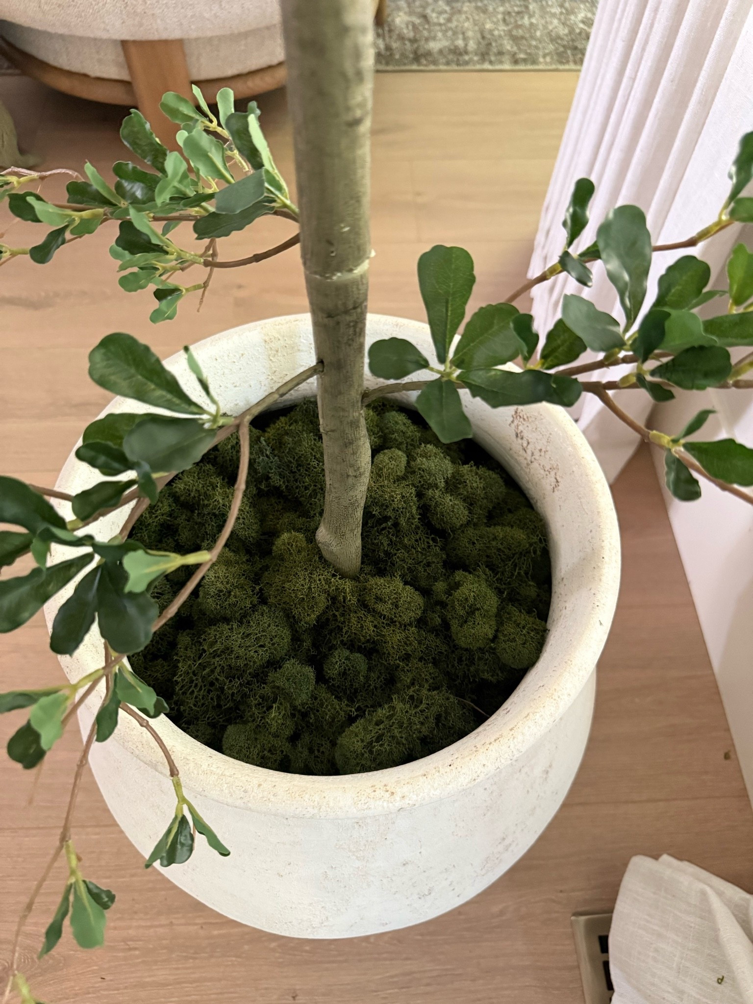 Reindeer moss! This soft and fluffy moss is the best way to finish off your faux tree planters. It stays together and doesn’t make a mess. And is a beautiful and natural dark green color.