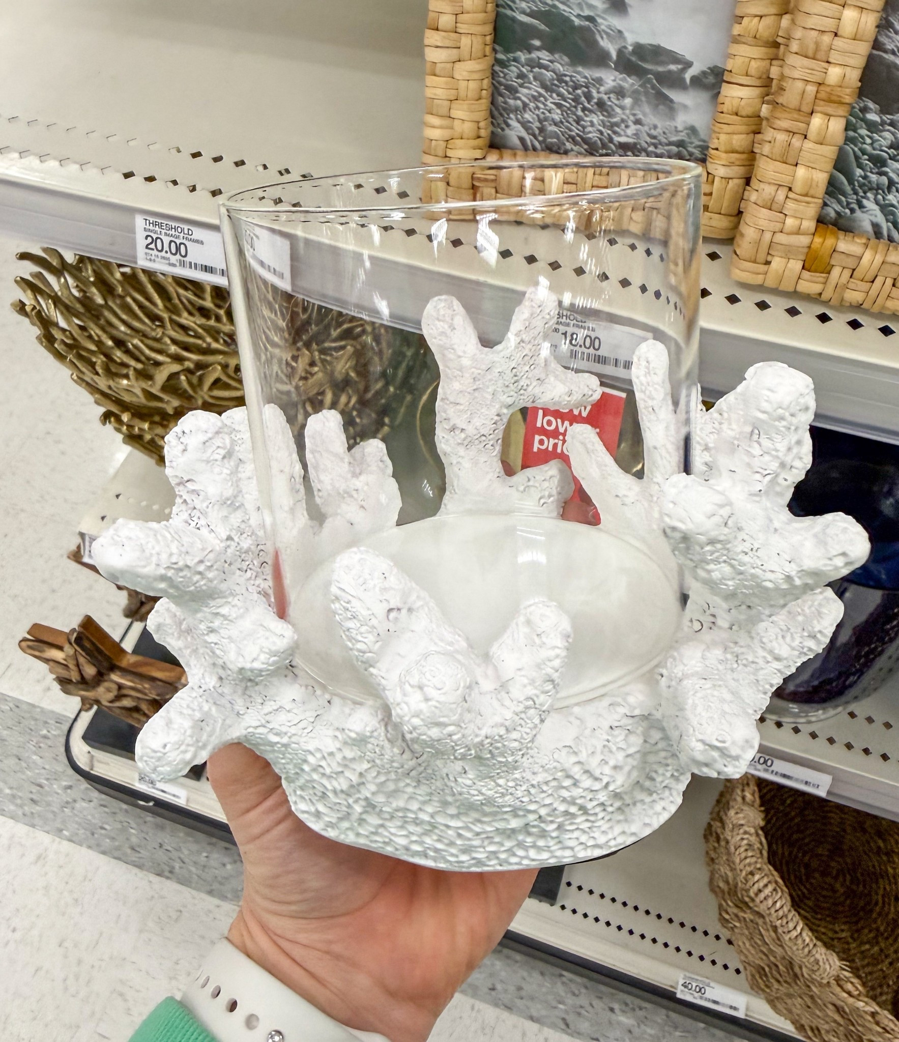 New coastal decor 🩵

#LTKdayinmylife #LTKHome #LTKSeasonal