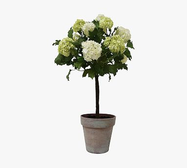 Faux Snowball In Pot | Pottery Barn (US)