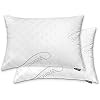 WonderSleep Premium Adjustable Loft [Queen Size 2-Pack] - Shredded Hypoallergenic Memory Foam for... | Amazon (US)