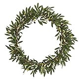 Nearly Natural 23in. Olive Artificial Wreaths, 23 in, Green | Amazon (US)