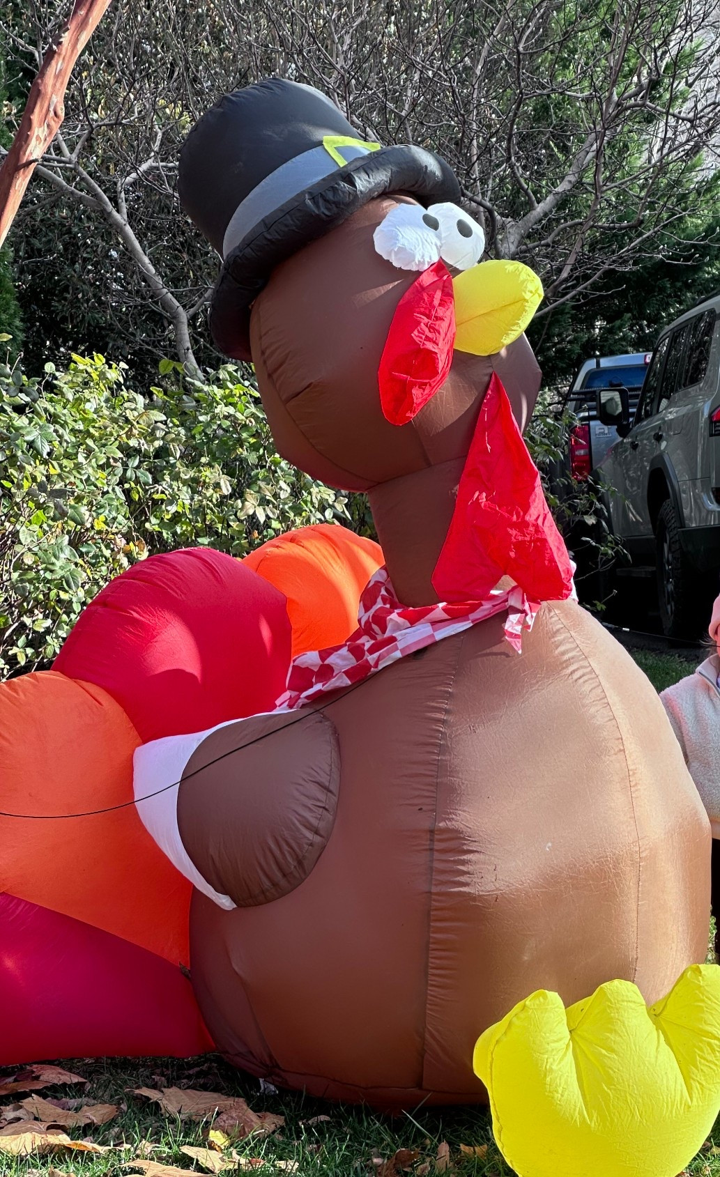 My daughter makes me walk to the neighbors house every single day and take a photo of her with this blowup turkey 😂 guess I should get one for us for next year while they’re on sale!

#LTKmomlife #LTKHoliday #LTKKids