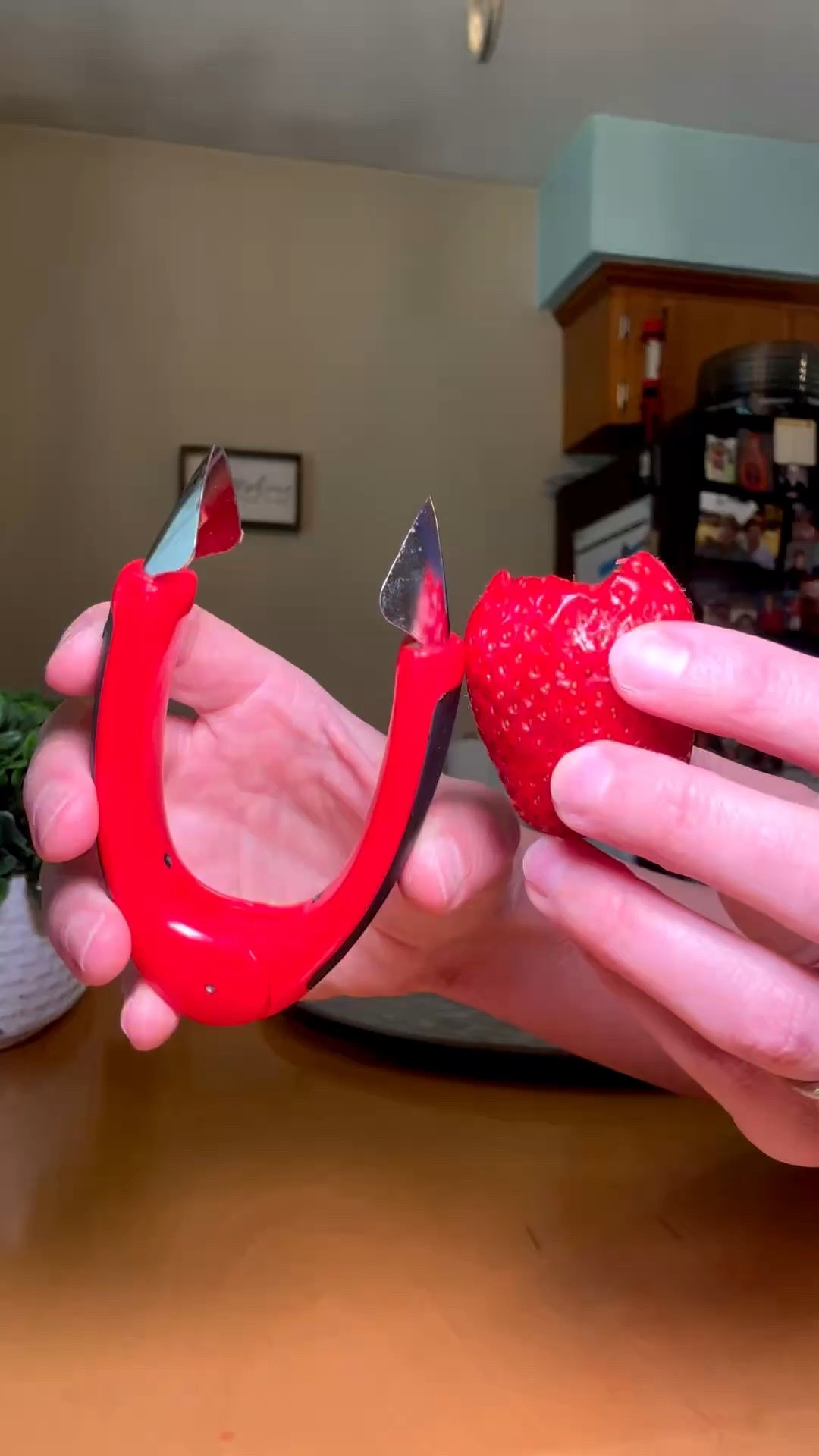 The best invention EVER for removing fruit stems and leaves! 🍓

#LTKfoodie #LTKHome