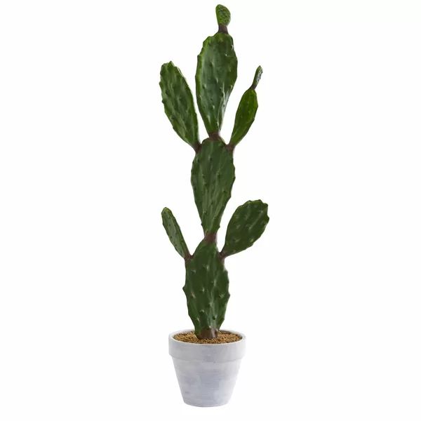 37'' Faux Cactus Plant in Pot | Wayfair North America