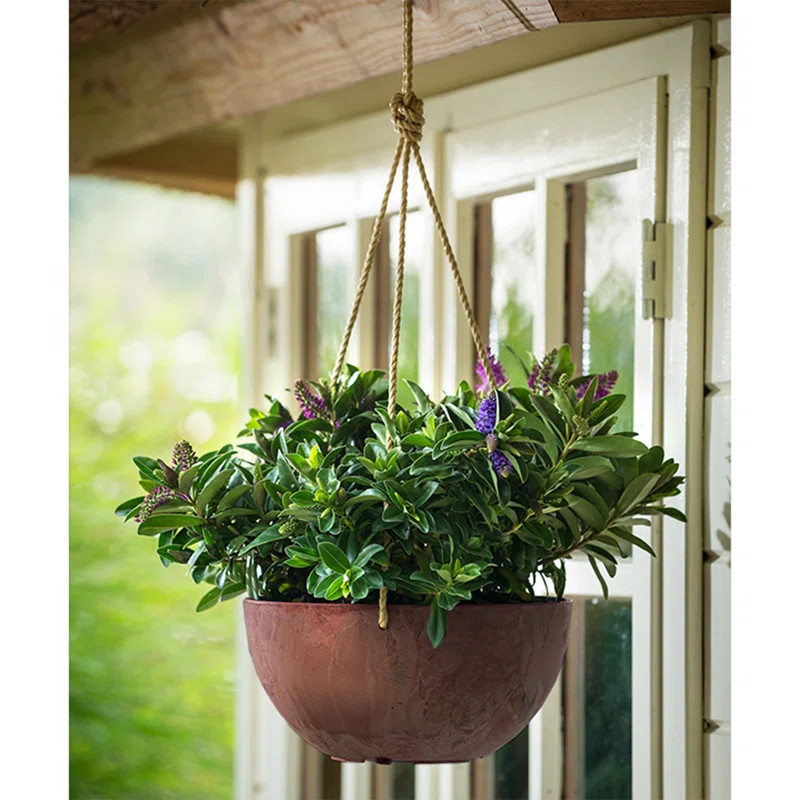 Latitude Run® Pollyanna Self-Watering Resin Hanging Planter & Reviews | Wayfair | Wayfair North America