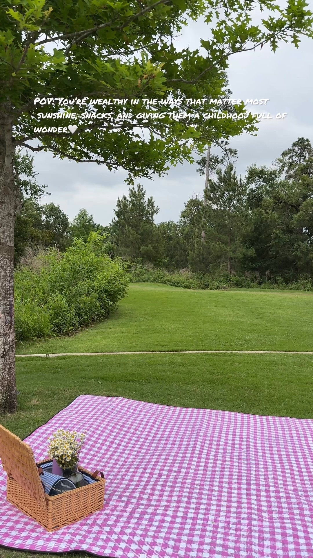 Picnic season 🧺

#LTKGiftGuide #LTKFindsUnder100