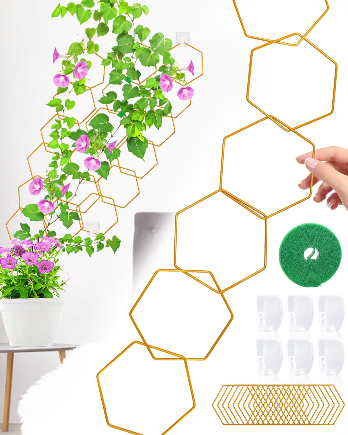 18 Pcs Chain Trellis for Climbing Plants, Potted Houseplant Accessories for Hoya, Ivy, Monstera, ... | Amazon (US)