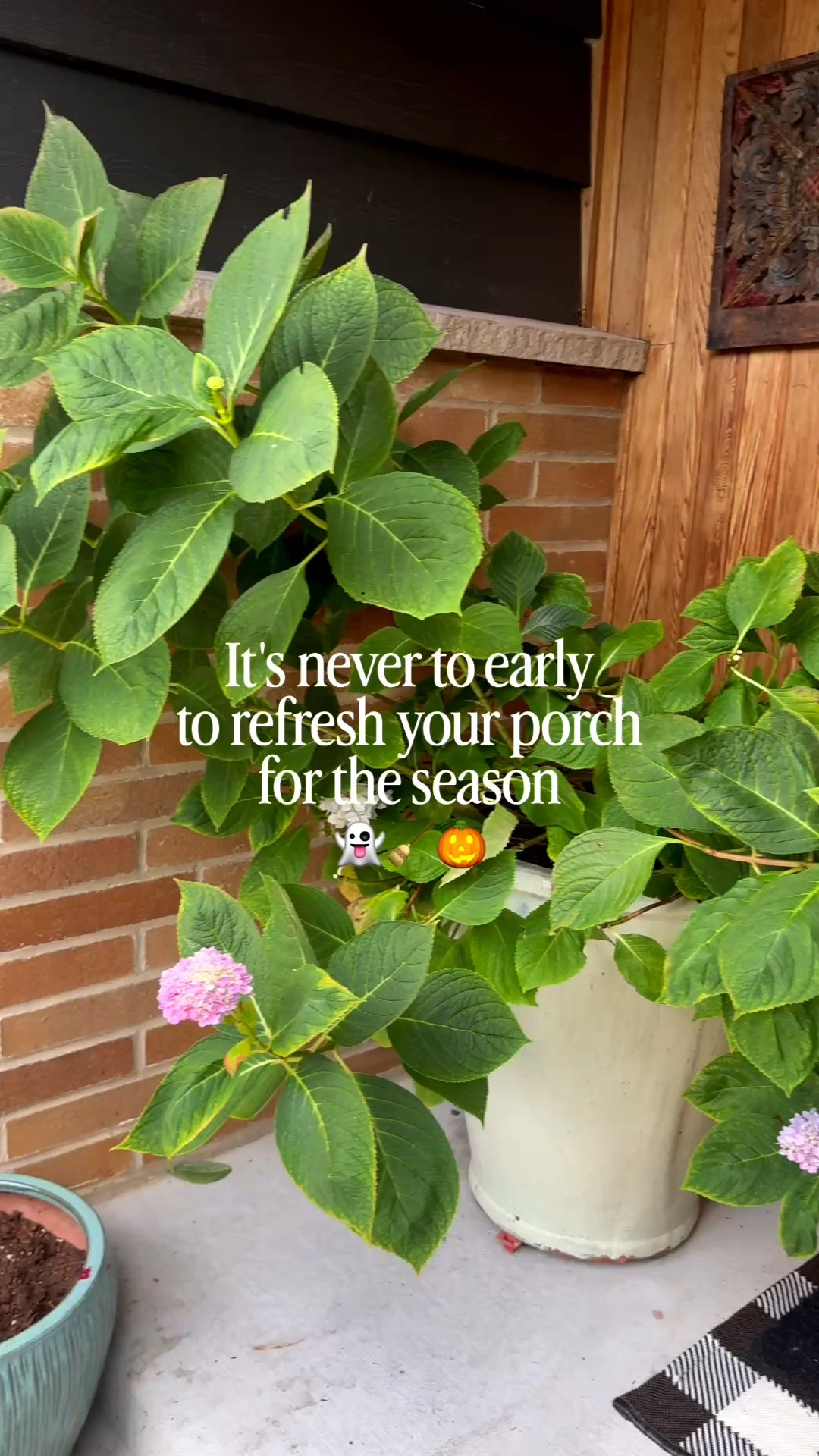 I love Halloween, and I think it's never too early to refresh your porch!

#LTKOver40 #LTKHome #LTKSeasonal