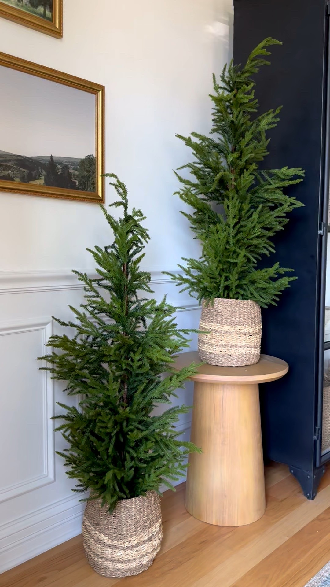 Amazon Norfolk Pine trees including the baskets! They come as a set of 2 and they are incredible quality! 

#primeday #amazonhome #amazonfinds #amazon #norfolkpine #christmasdecor #livingroom #homedecor #neutralhome 

#LTKFindsUnder100 #LTKSeasonal #LTKHome