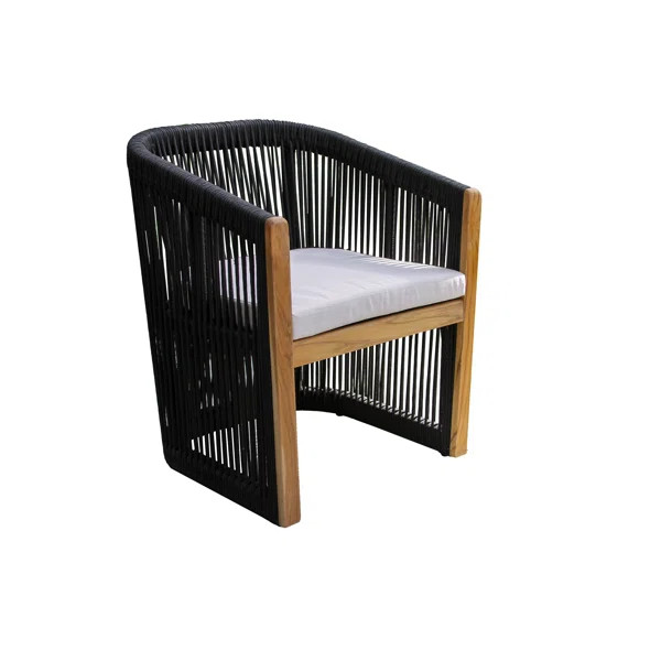 Aniston Outdoor Dining Chair with Sunbrella Cushions (Set of 2) | Wayfair North America