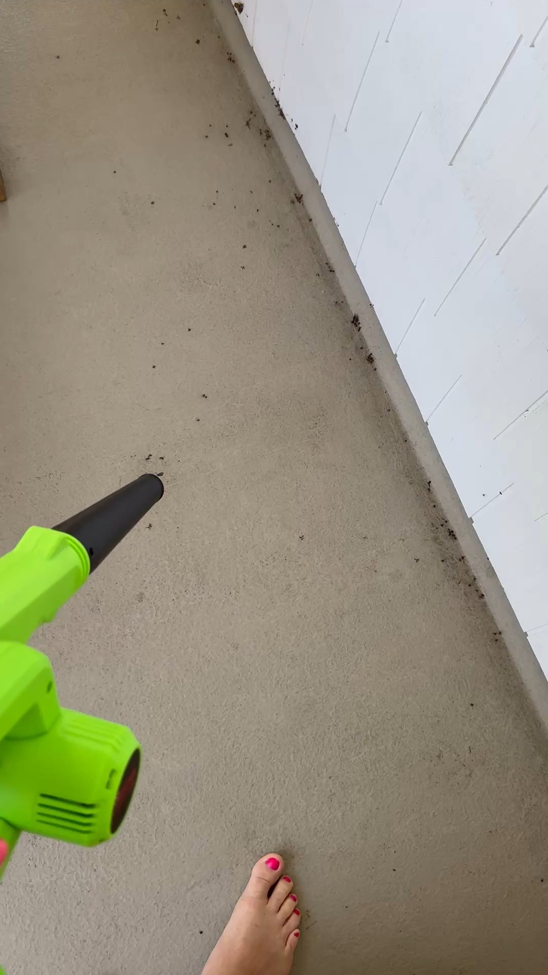 🌿  mighty and tiny 🌿
Obsessed with this little leaf blower gadget—rechargeable, compact, and also a vacuum! Perfect for quick porch cleanups in the summer. Easy to store, easy to love. 🍃✨

#PorchLife #SummerCleanUp #GadgetGoals #RechargeableTools #SmallButMighty #OutdoorLiving #HomeToolsThatWork #DesignLoverApproved #PorchPerfection #EffortlessLiving

#LTKSeasonal #LTKHome #LTKSummerEdit