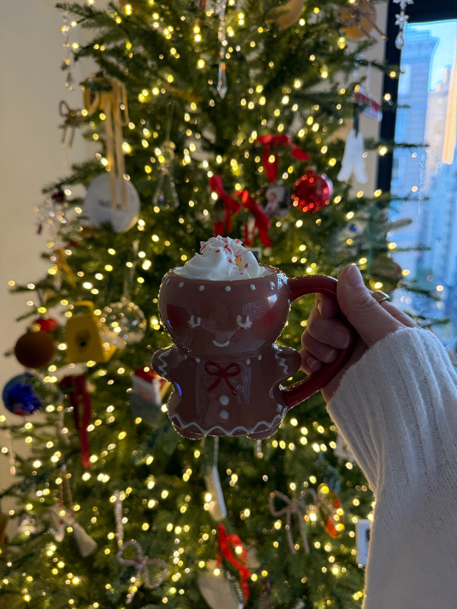 Best hot chocolate and holiday mugs 

#LTKCyberWeek 

#LTKHoliday #LTKSeasonal