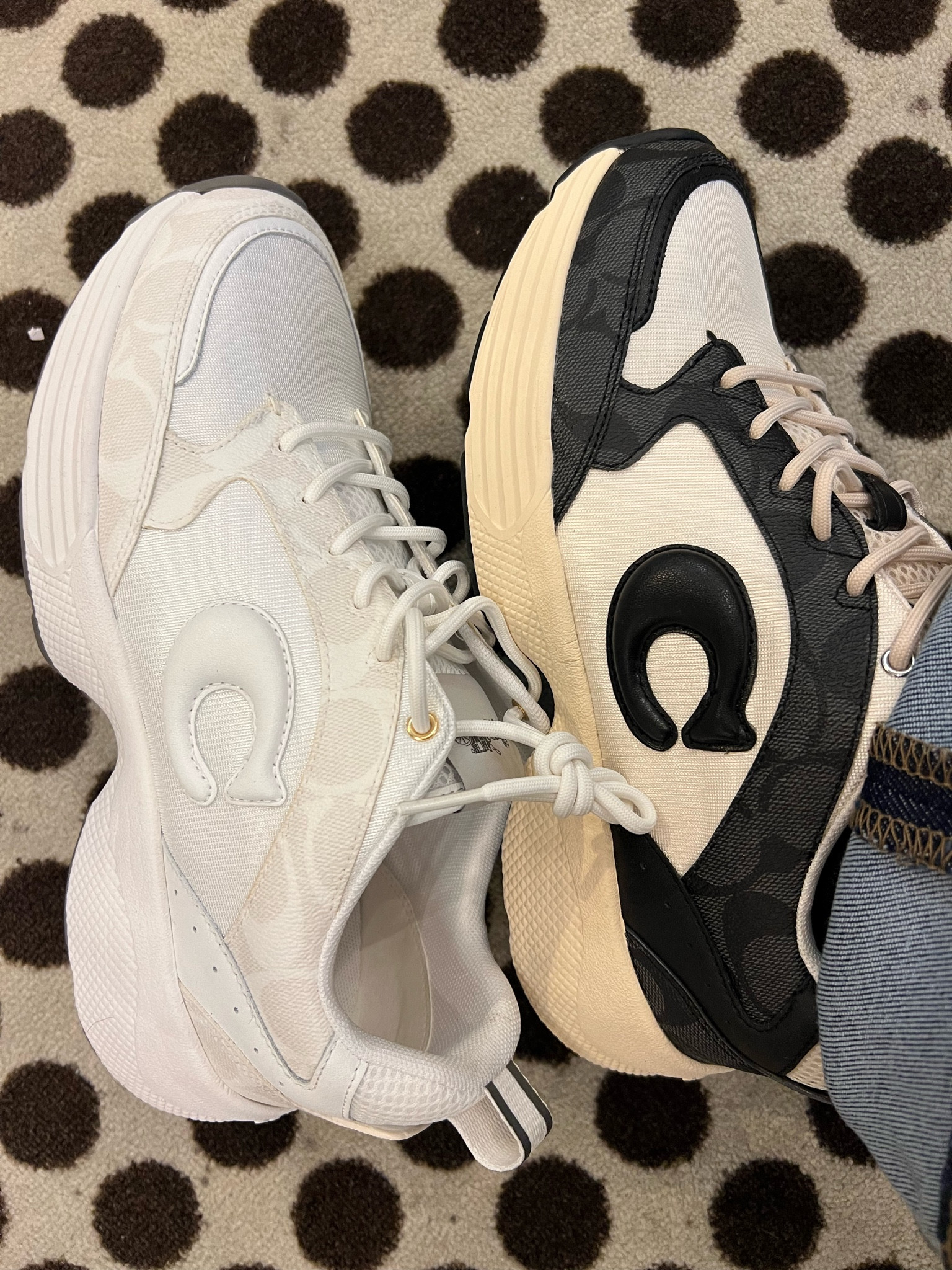 I’m loving these sneakers from Coach Outlet 😍

#LTKshoecrush #LTKGiftGuide