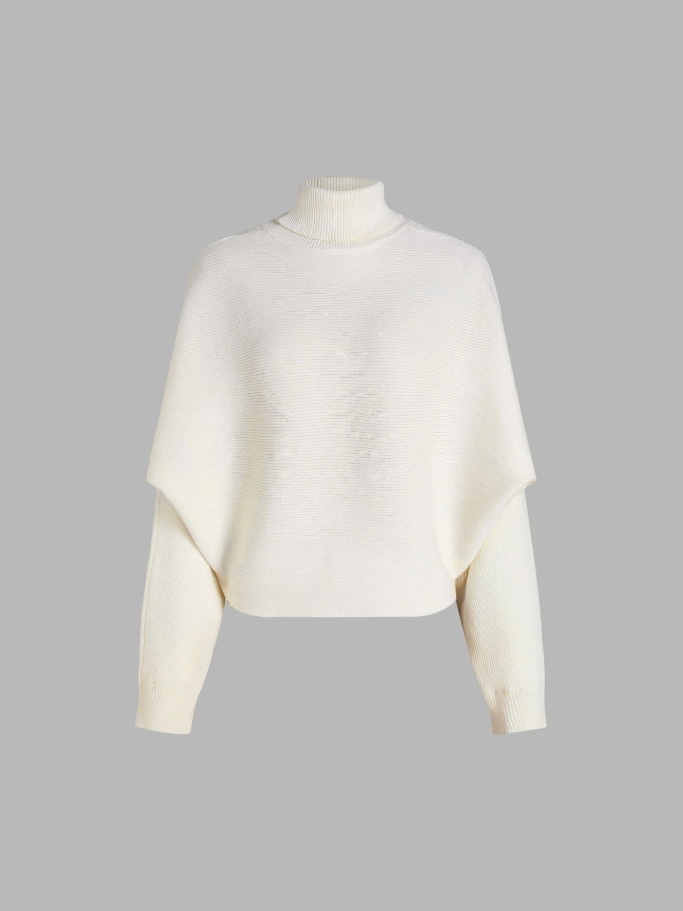 Solid Turtleneck Sweater | Cider