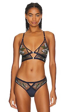 Cirsi Bralette
                    
                    Thistle and Spire | Revolve Clothing (Global)