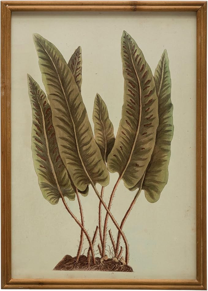 Creative Co-Op Wood Botanical Glass Cover, Multicolor Framed Prints, Green | Amazon (US)