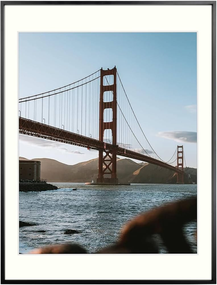 Frametory, 18x24 Metal Picture Frame with Mat for 16x20 Picture & Real Glass, Aluminum Photo Fram... | Amazon (US)