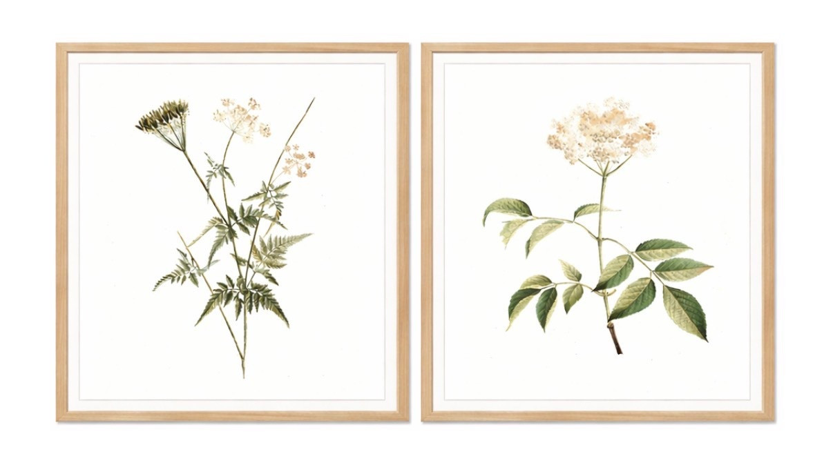 These come in a variety of sizes, but this specific size pictured was a custom size that I had made in a 20 x 20. You can email the company for custom sizes very easily.  The images are called wildflower one and wildflower two ￼￼￼

#LTKSeasonal #LTKHome