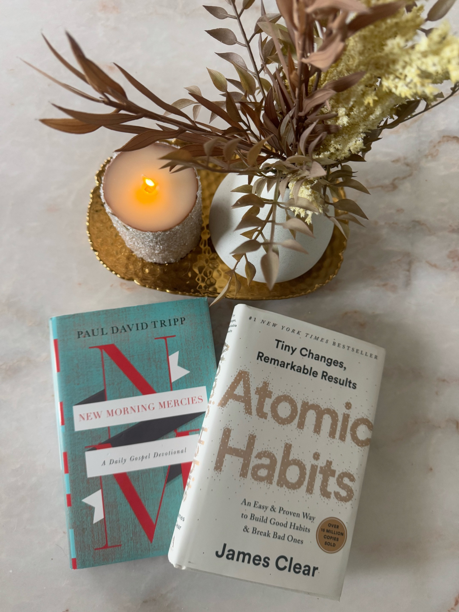 Read with me in 2025! I am starting the year with Atomic Habits as my book and New Morning Mercies as my devotional. 

#LTKGiftGuide