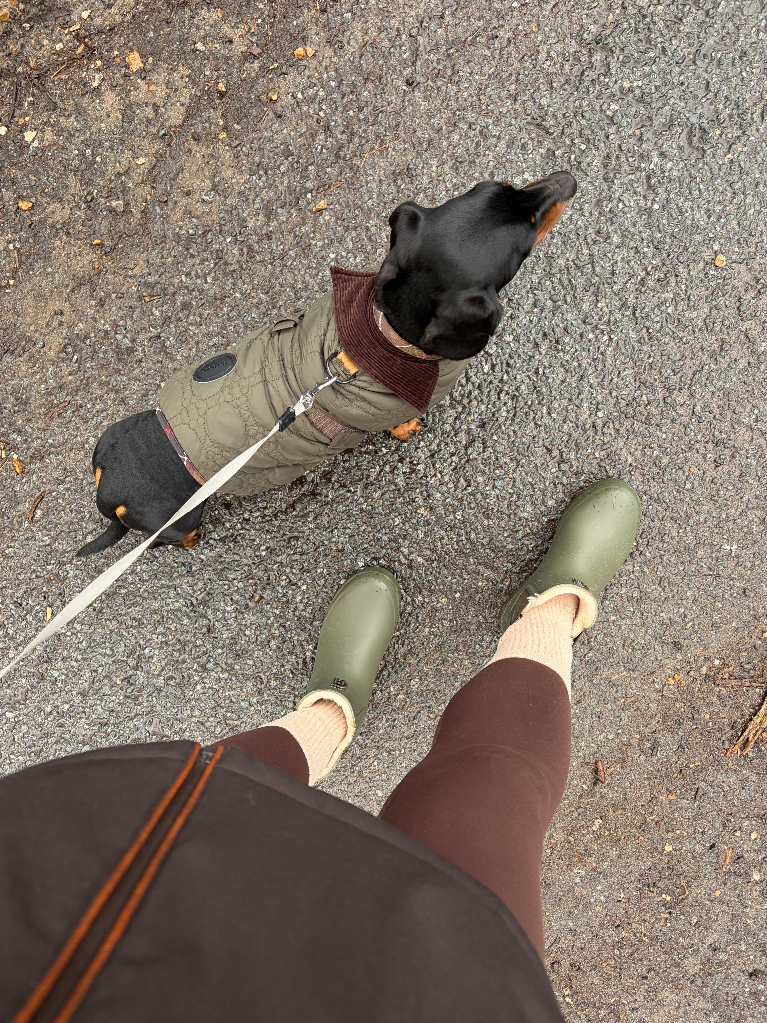My go-to winter dog walk uniform: practical layers, earthy tones, and a little countryside polish. 

#LTKuk #LTKwinter #LTKstyletip