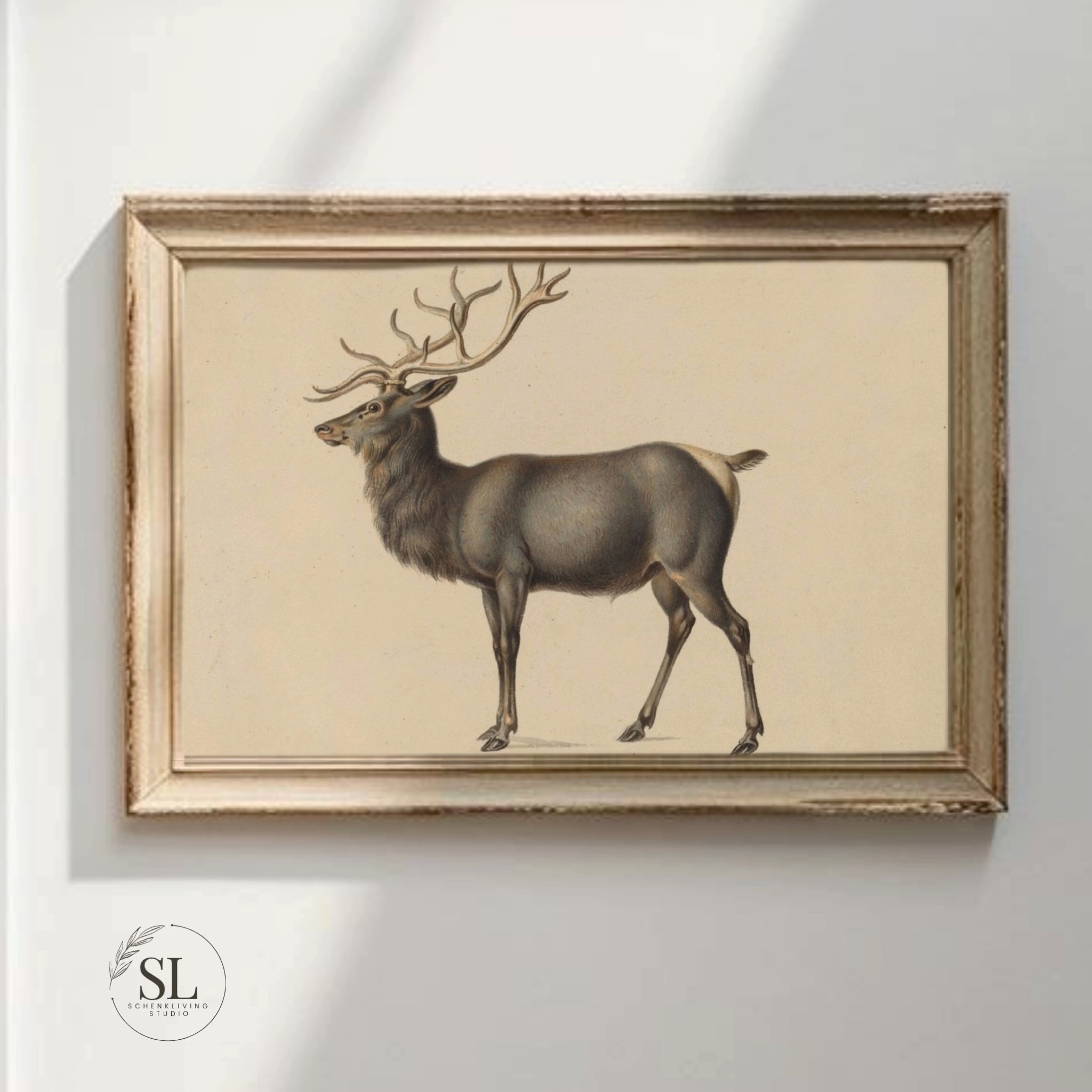Vintage Buck Elk -- or reindeer if you'd like!  Great for your gallery wall, kids bedroom, Christmas decor -- even a vintage nature nursery 

 

#LTKhome #LTKmaternity #LTKgiftguide