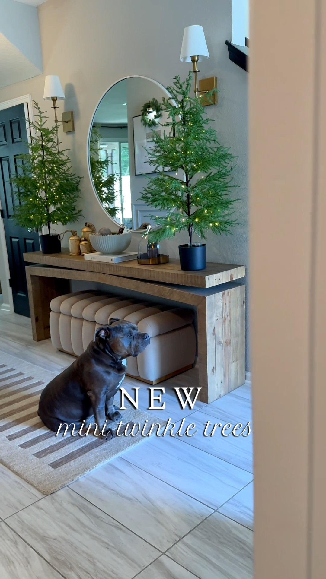 ✨ High risk sell out! ✨ if you missed them last year- these beautiful battery operated Norfolk trees are back for the season!! 

Christmas decor, entryway, console table, Christmas finds, Amazon Christmas decor

#LTKHome #LTKSeasonal