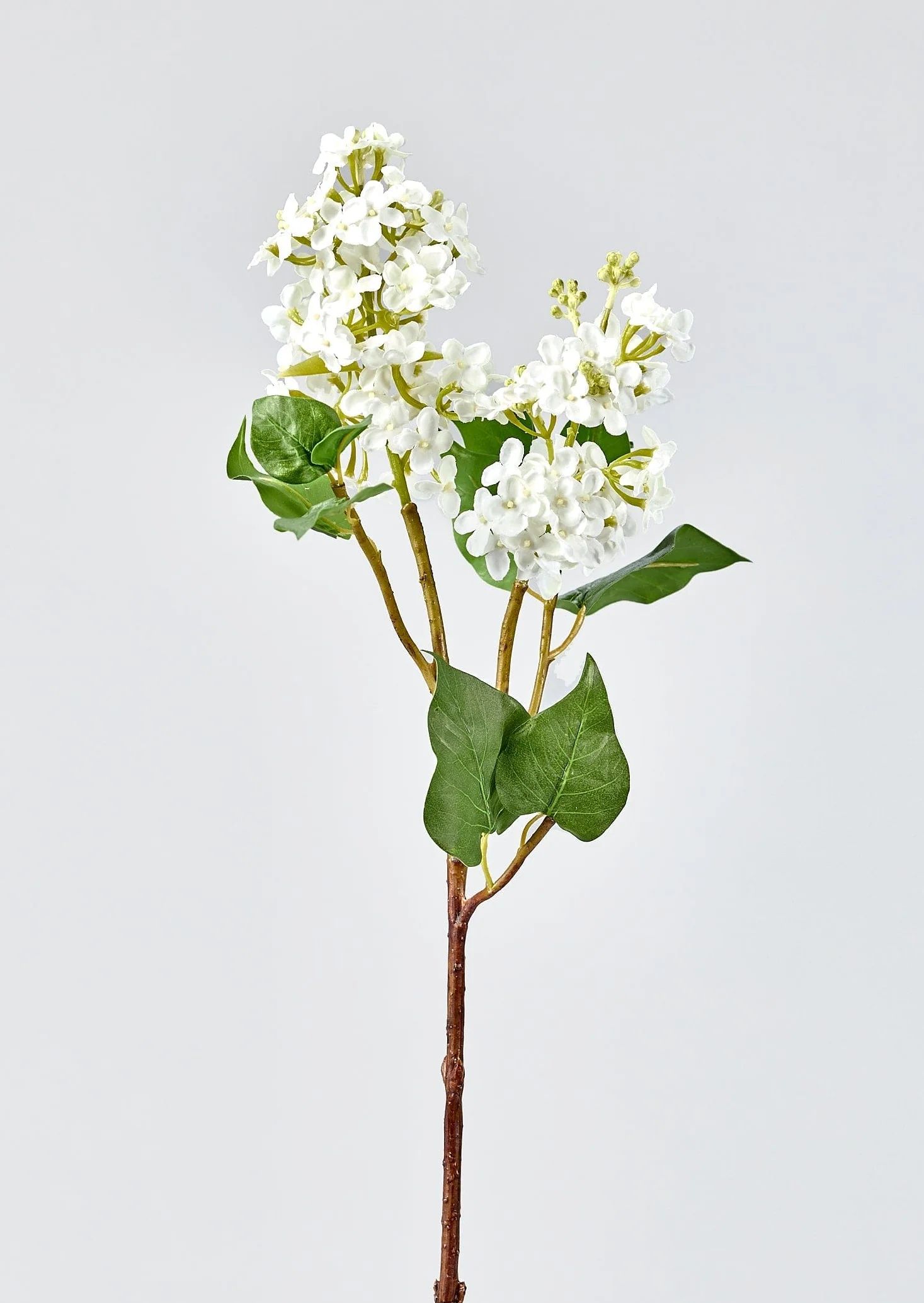 White Faux Lilac Flower Branch - 30" | Afloral