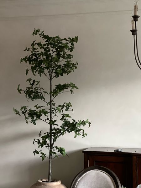 Studio McGee tree looks a lot like a faux shady lady if you shape the branches right!

Place her in a floor planter and instant amber interiors vibes!

#LTKhome