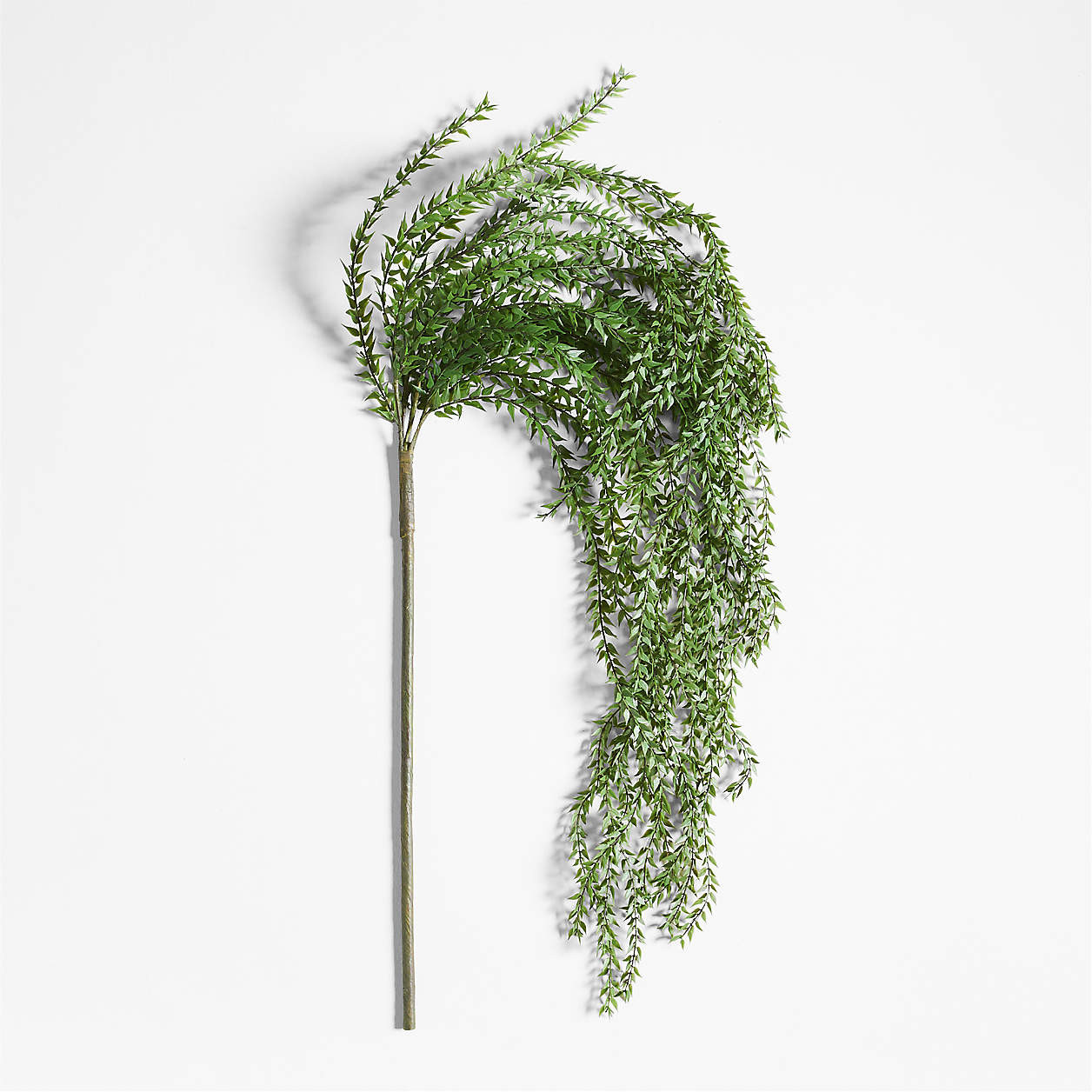 Faux Green Trailing Branch + Reviews | Crate & Barrel | Crate & Barrel