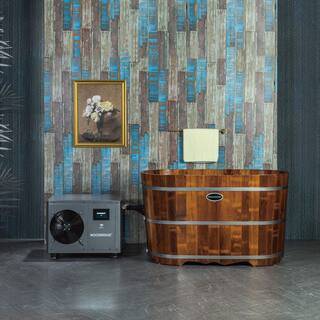 54 in. 1-Person 0-Jet Standard Cold Plunge Ice Bath Tub/Hot Tub w/ 1.3 HP Chiller and Heater,WiFi and App Remote Control | The Home Depot