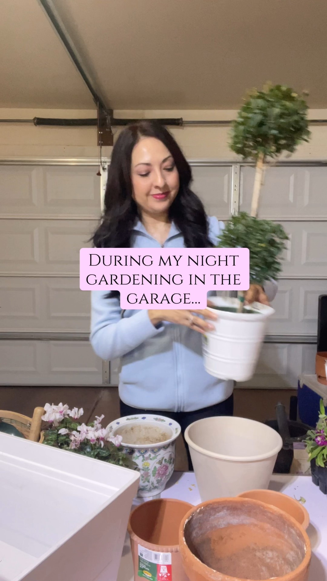 The topiary tree is a beautiful gift for the garden! 

#LTKSeasonal #LTKdayinmylife #LTKHome