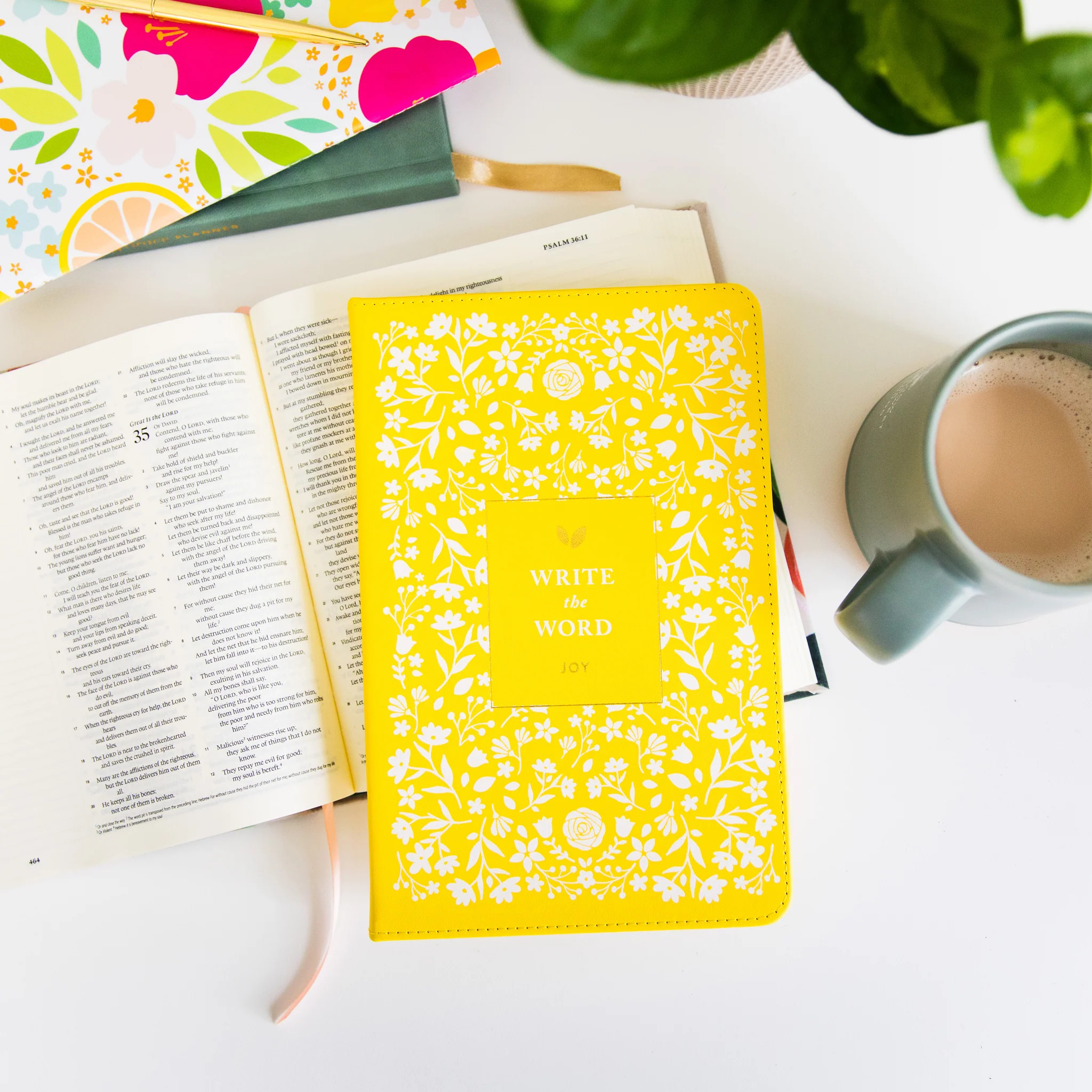Write The Word® Journal | Cultivate Joy | Cultivate What Matters 