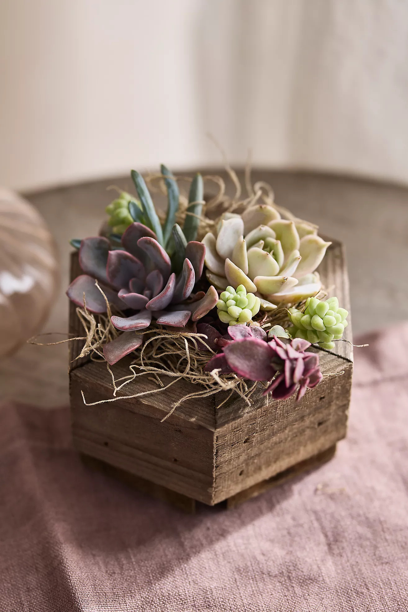 Hexagon Succulent Planter | Anthropologie (US)
