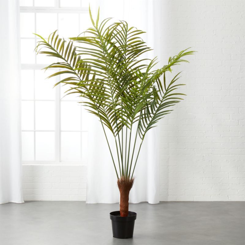 Potted Faux Palm Tree 5.5'CB2 Exclusive Limited Quantity. Buy online and pick up in store or call... | CB2