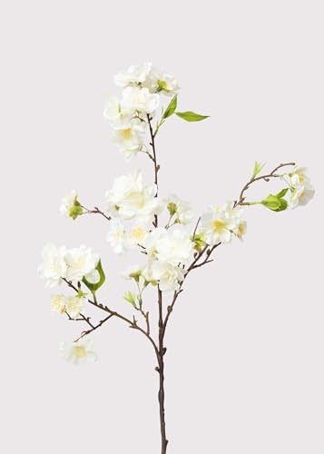 Afloral Artificial Cream Cherry Blossom Branch - 18" | Amazon (US)