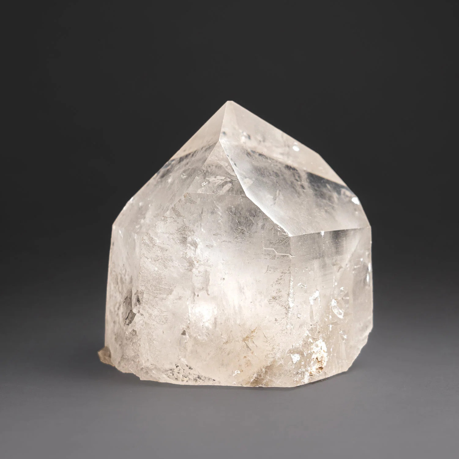 Cloche Or Water Globe | Wayfair North America