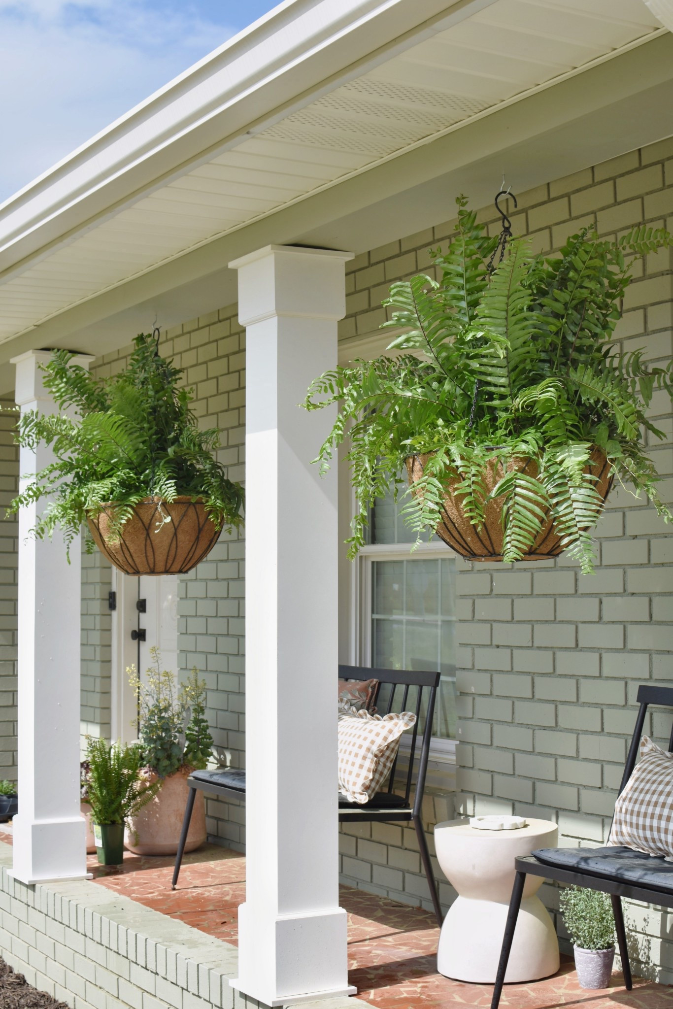 My macho fern hanging baskets are my favorites!! They look so pretty from spring into fall. These are the products I use to plant them… make sure you use 20” hanging baskets so you have plenty of space to plant other annuals. I also use organic potting mix & alternate between granular and liquid fertilizers. FoxFarm is a fav!

#LTKHome #LTKdayinmylife #LTKSeasonal