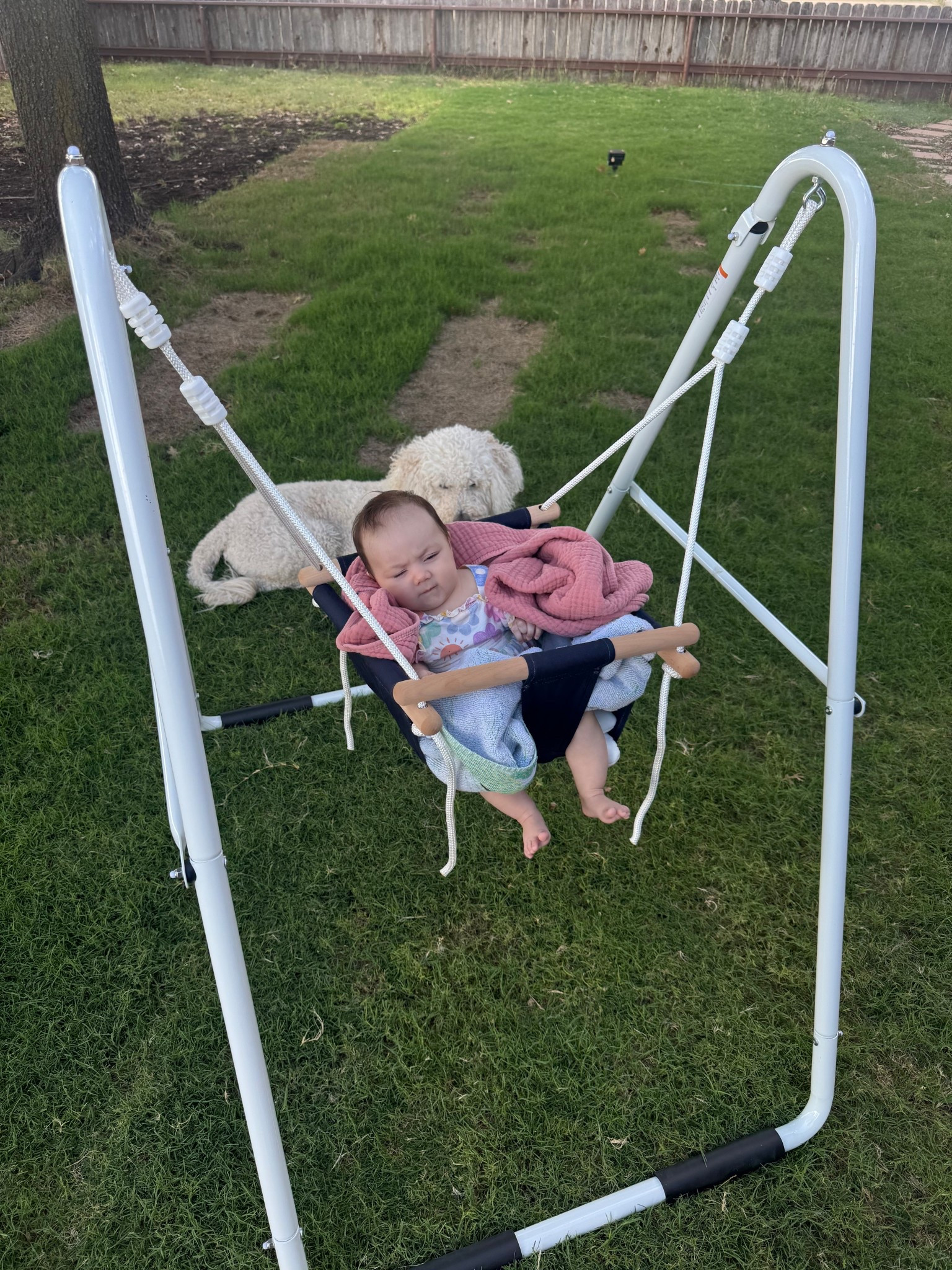 Baby swing

Folds up easily to store away
Holds up to 55lbs 

#LTKBaby #LTKHome #LTKKids